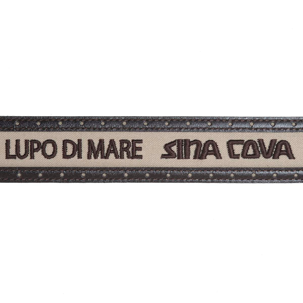 Belt 21176020