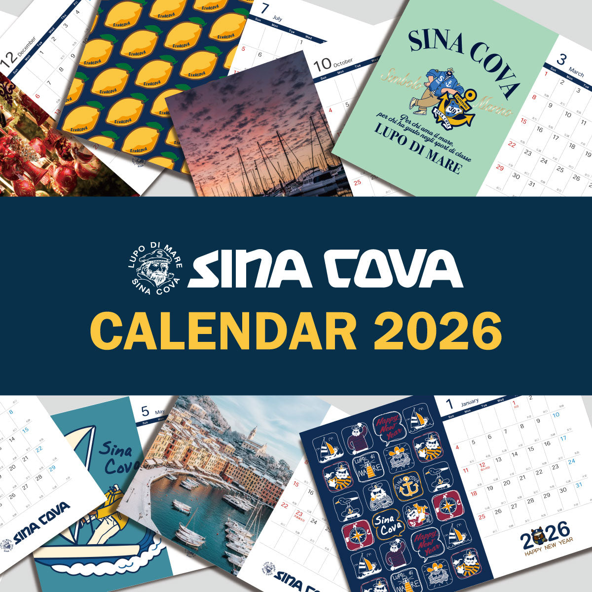 【シナコバ 2026 カレンダー プレゼント フェア】ノベルティ 2026シナコバオリジナル卓上カレンダー（非売品）